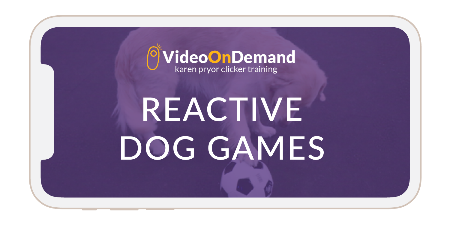 The Reactive Dog: Instructors Bundle