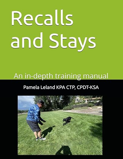 Recalls and Stays  - Pamela Leland