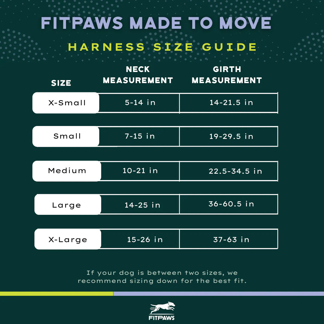 FitPaws® Made to Move Harness + Leash