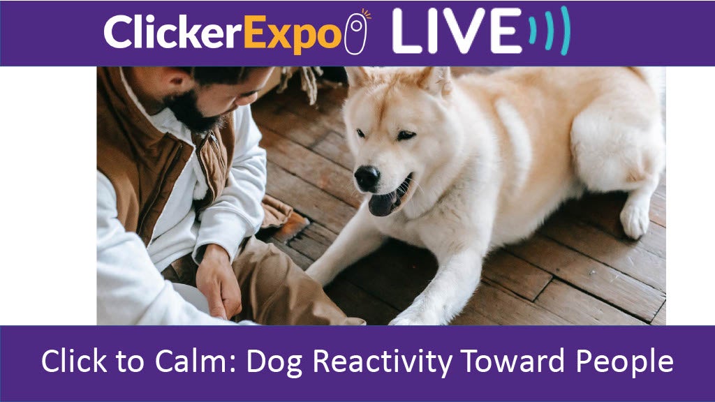 Click to Calm: Dog Reactivity Toward People - Video on Demand