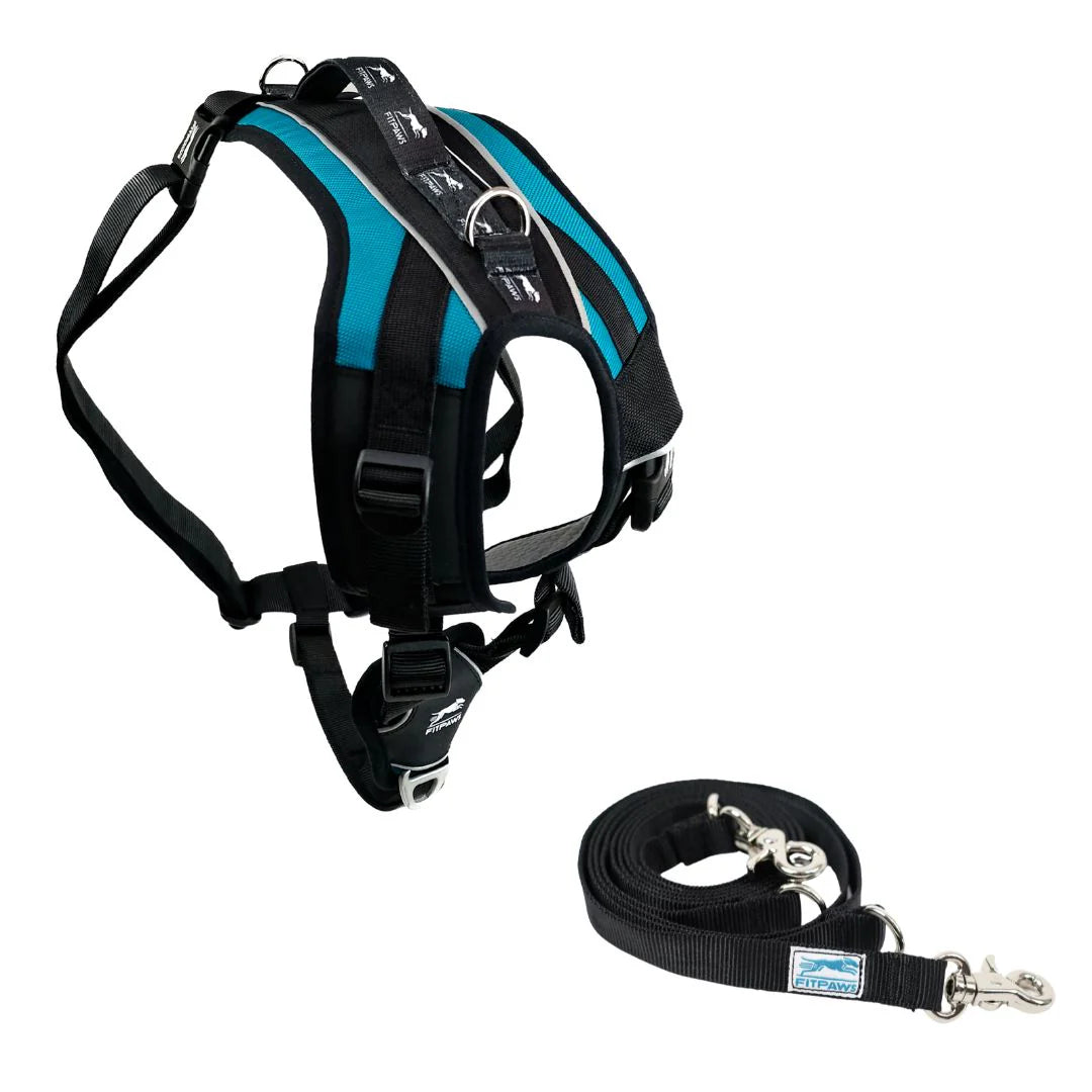 FitPaws® Made to Move Harness + Leash