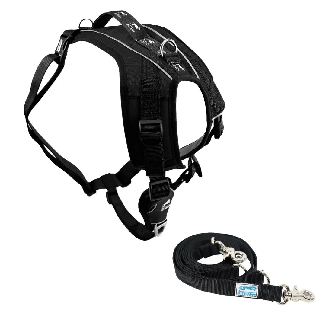 FitPaws® Made to Move Harness + Leash