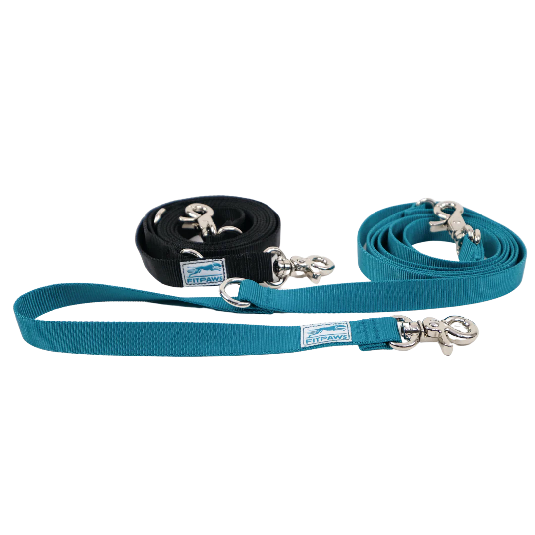 FitPaws® Made to Move Leash Only