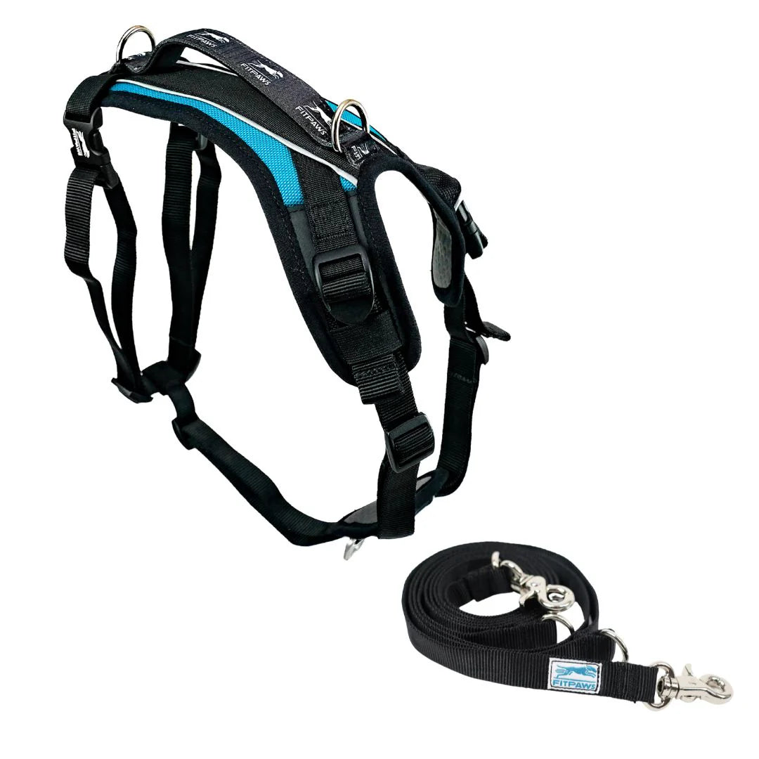 FitPaws® Made to Move Harness + Leash