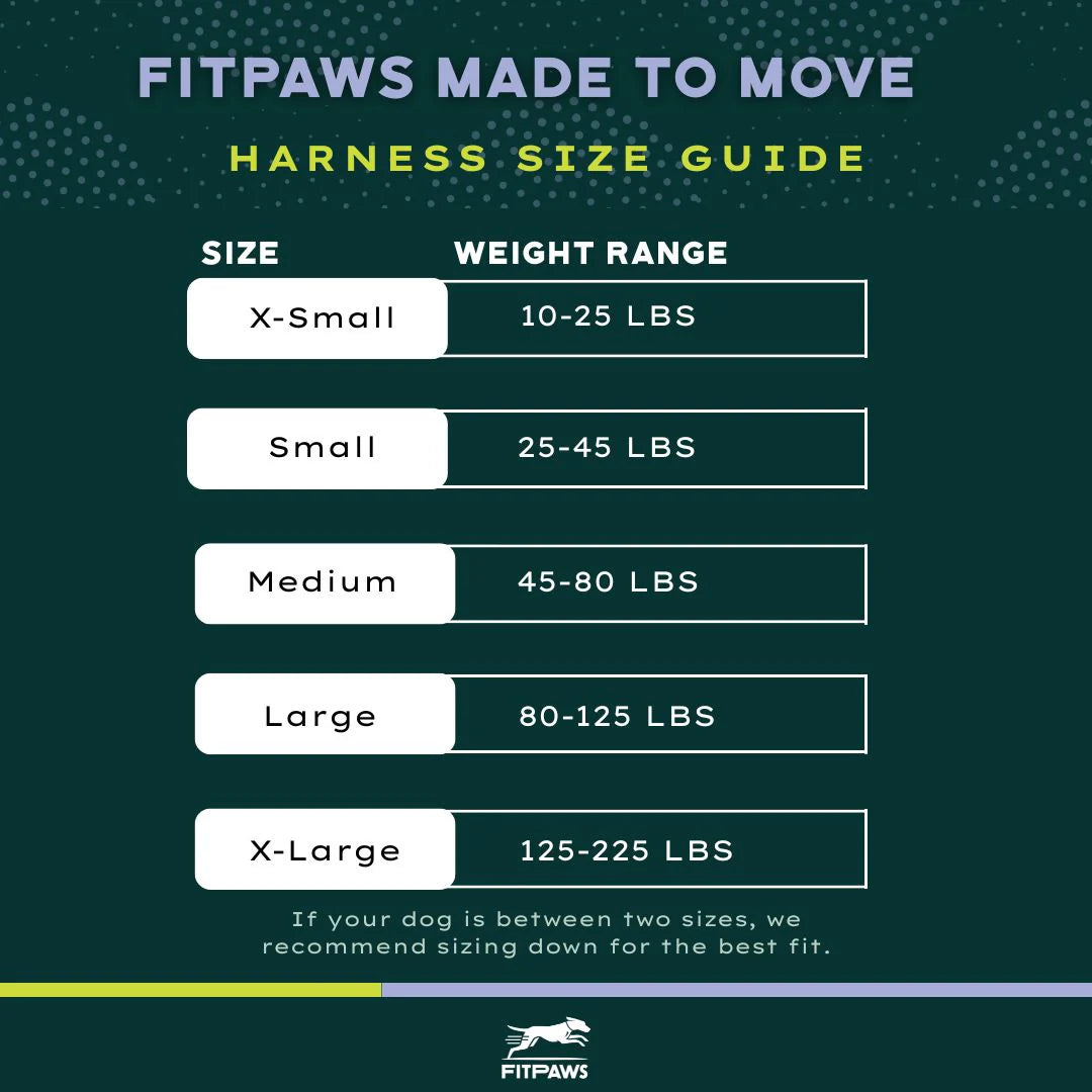 FitPaws® Made to Move Harness + Leash
