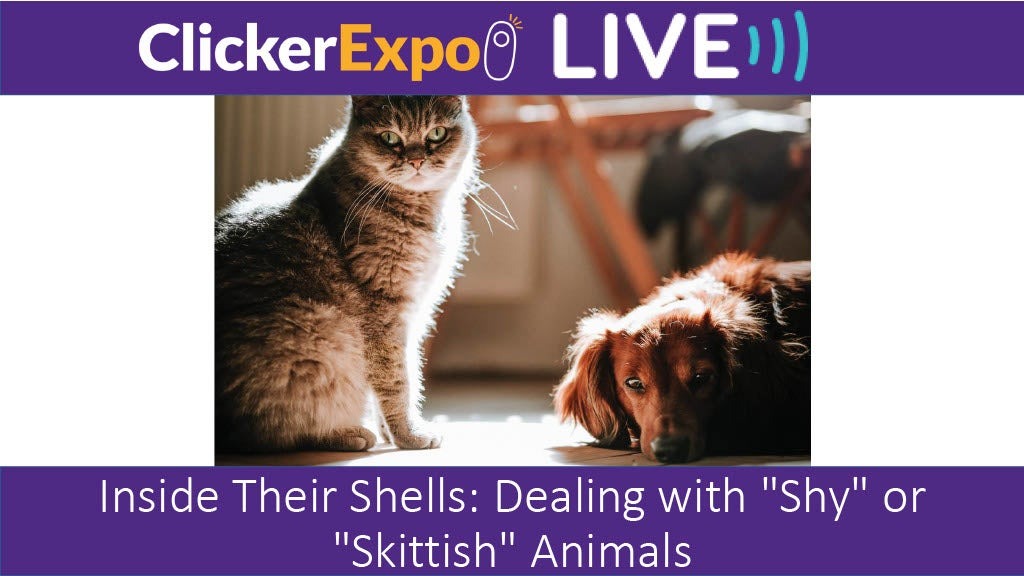 Inside Their Shells: Dealing with "Shy" or "Skittish" Animals - Video on Demand