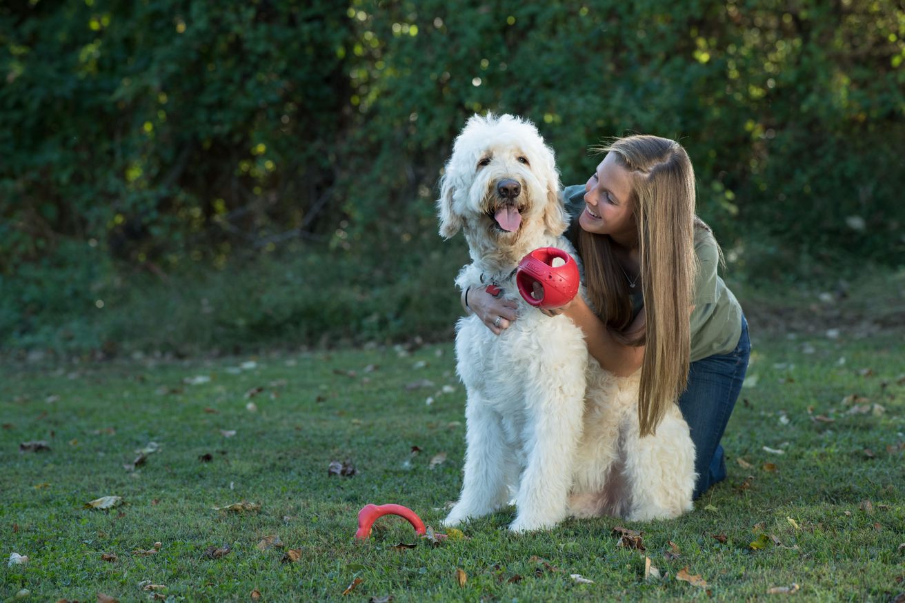 Caitec Hero Squeakables Kettle Ball Hero Dog Toy