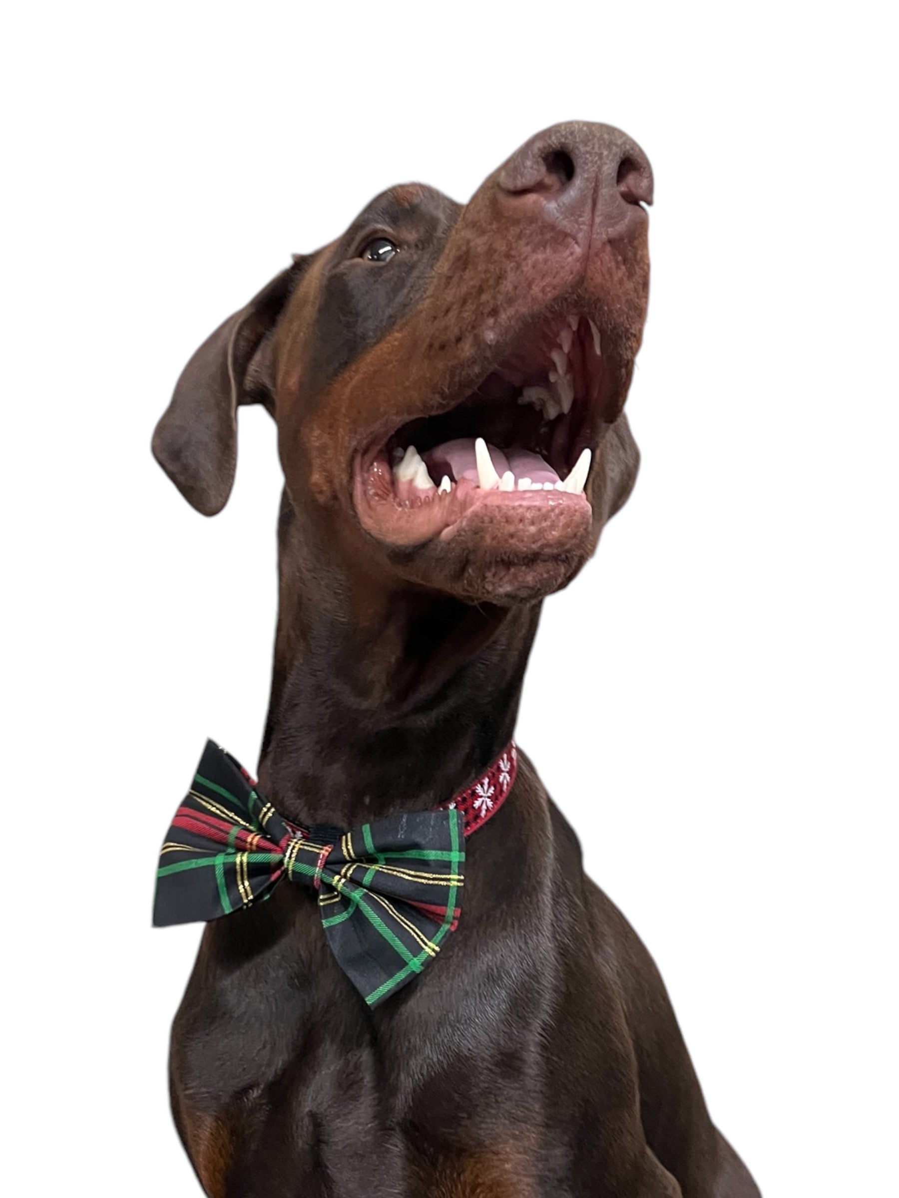 Holiday Pet Bow Ties