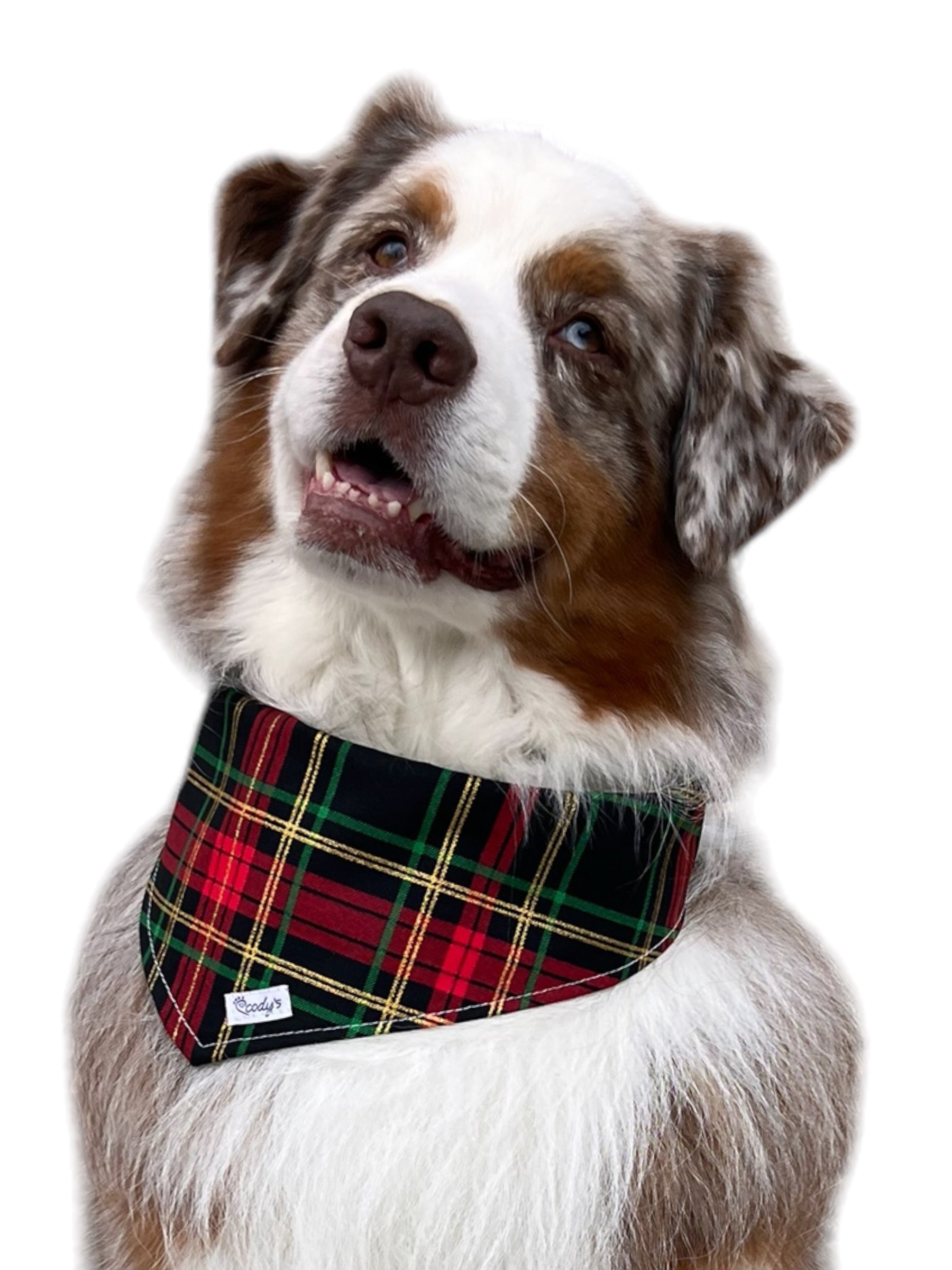 Holiday Pet Bandanas