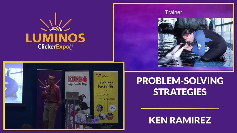 Problem Solving Strategies - Video on Demand